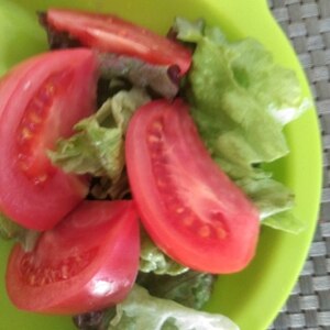 レタスきゅうりトマトのあっさりサラダ